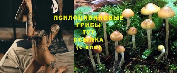 эйфоретик Алзамай