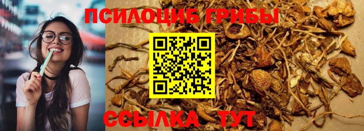 купить   Галлюциногенные грибы мухоморы  Вход с VPN  Ишим 